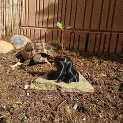 Bonsai Planter